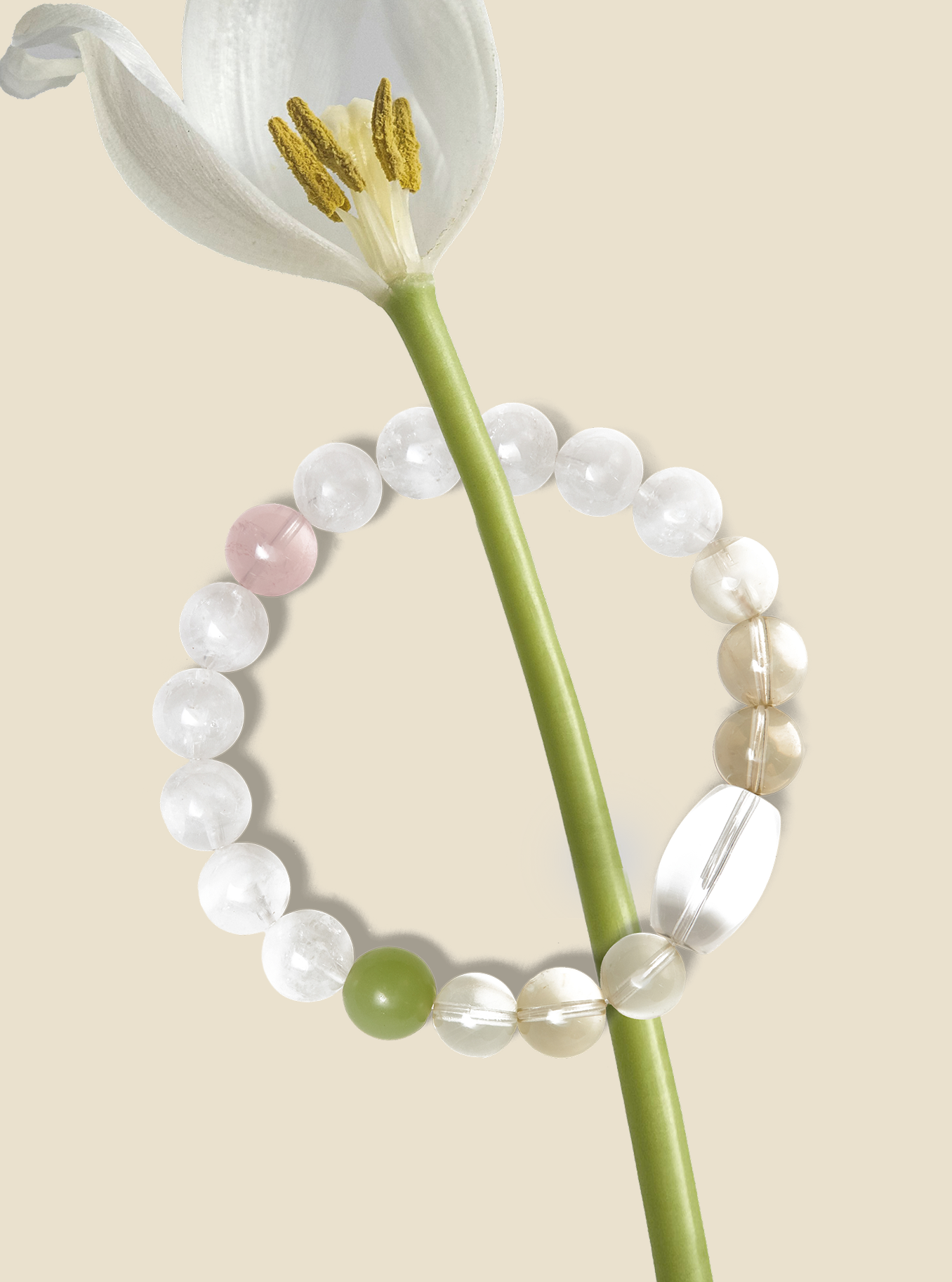Bloom