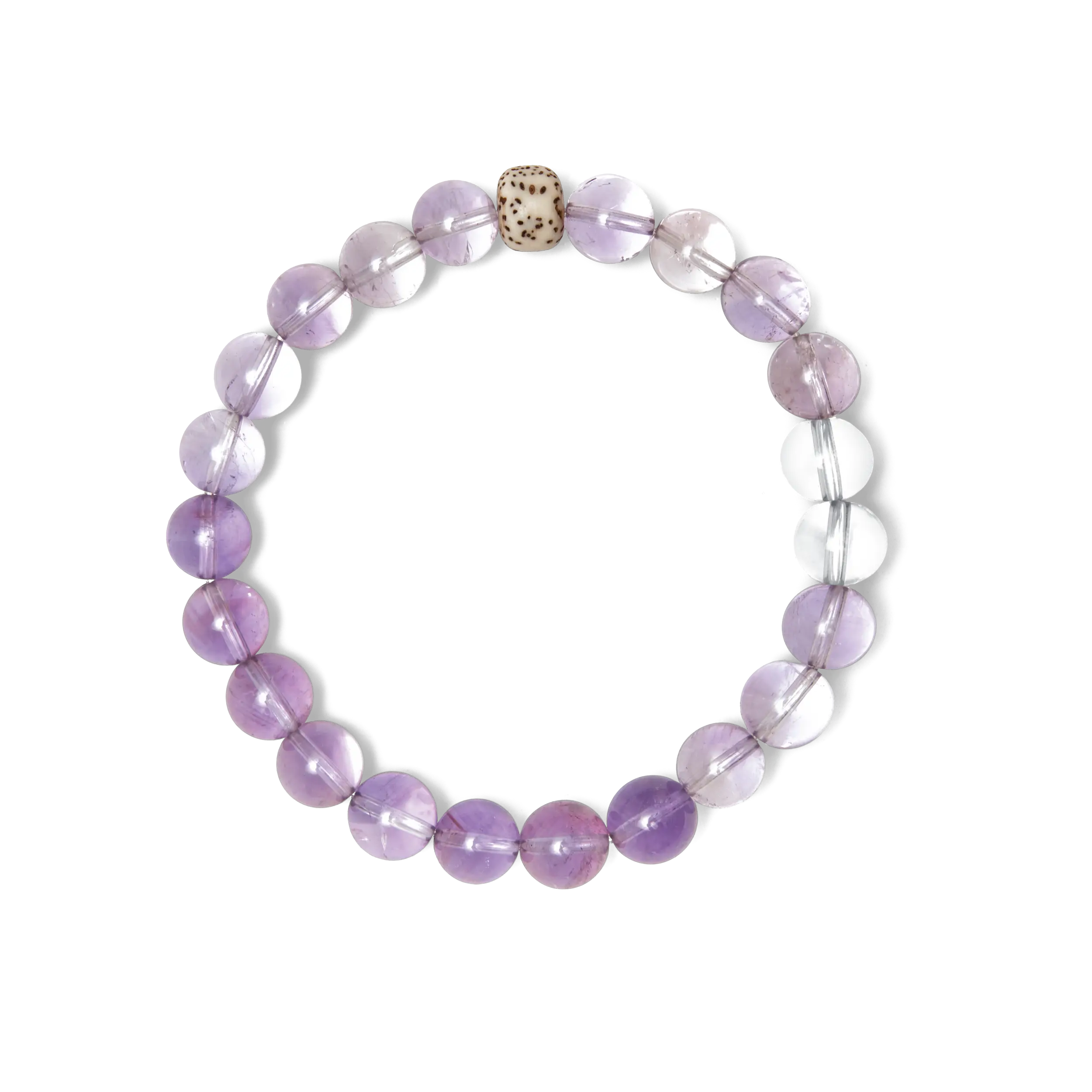 Purple Coral