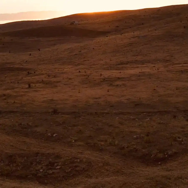 Earth element — grounding
